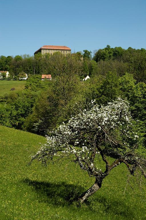 Gasthof Adler Schillingsfürst Esterno foto